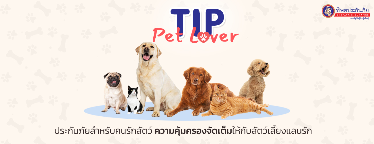 ประกันภัยคุ้มครองสัตว์เลี้ยง TIP Pet Lover